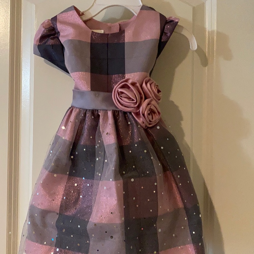Beautiful Sparkle Dress